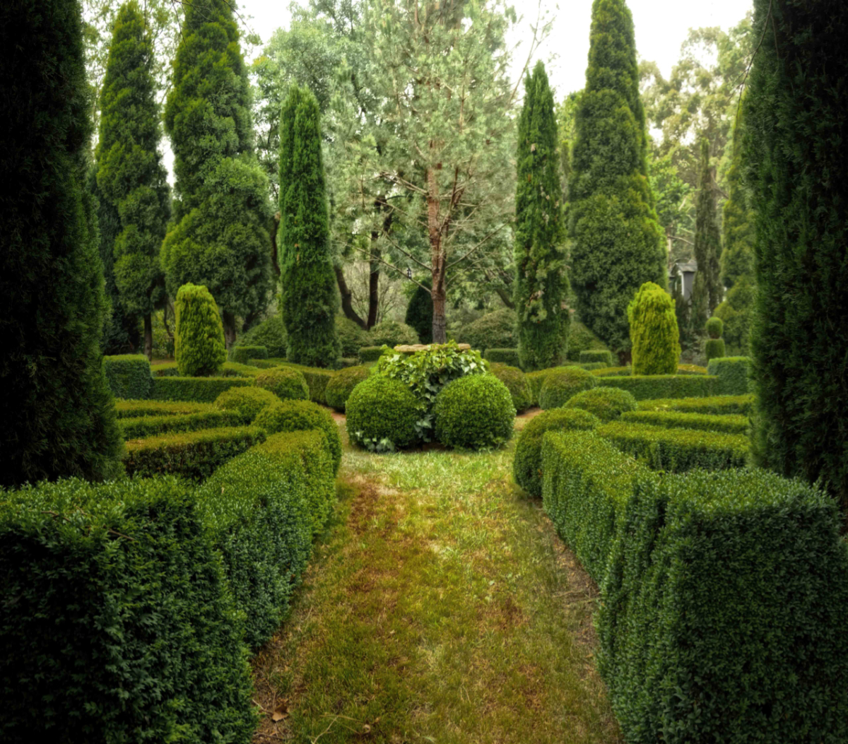 What Should I Plant To Block Neighbours? UK